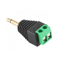 Adaptor jack 3.5 mm la terminal de 2 pini - Bărbat