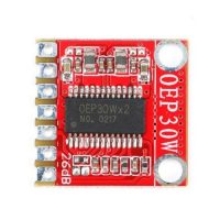Amplificator audio digital mono - DC 8-24V 30W