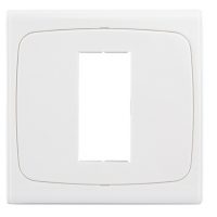 Cadru cu adaptor pentru conectori dreptunghiulari