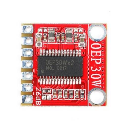 Foto - Amplificator audio digital mono - DC 8-24V 30W